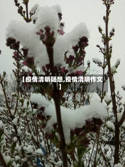 【疫情清明随想,疫情清明作文】