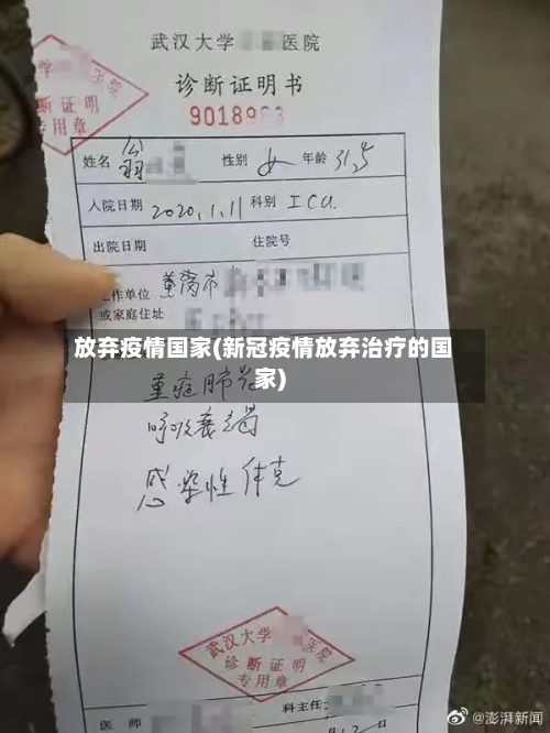 放弃疫情国家(新冠疫情放弃治疗的国家)