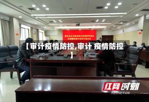 【审计疫情防控,审计 疫情防控】