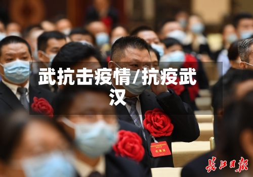 武抗击疫情/抗疫武汉