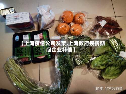 【上海疫情公司发菜,上海政府疫情期间企业补偿】