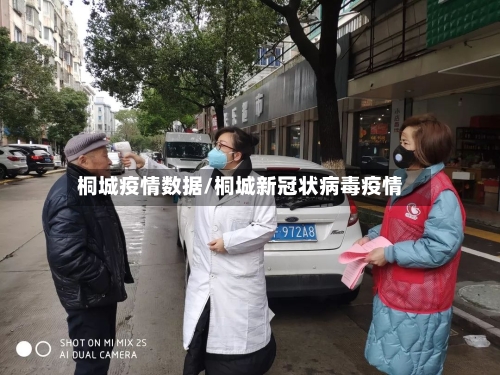 桐城疫情数据/桐城新冠状病毒疫情