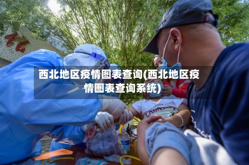 西北地区疫情图表查询(西北地区疫情图表查询系统)