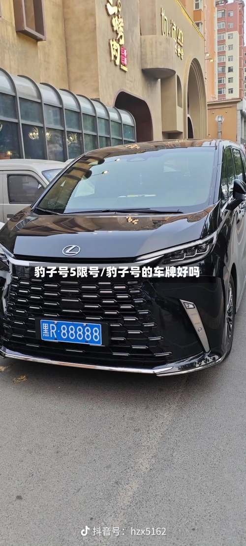 豹子号5限号/豹子号的车牌好吗