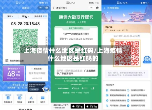 上海疫情什么地区是红码/上海疫情什么地区是红码的