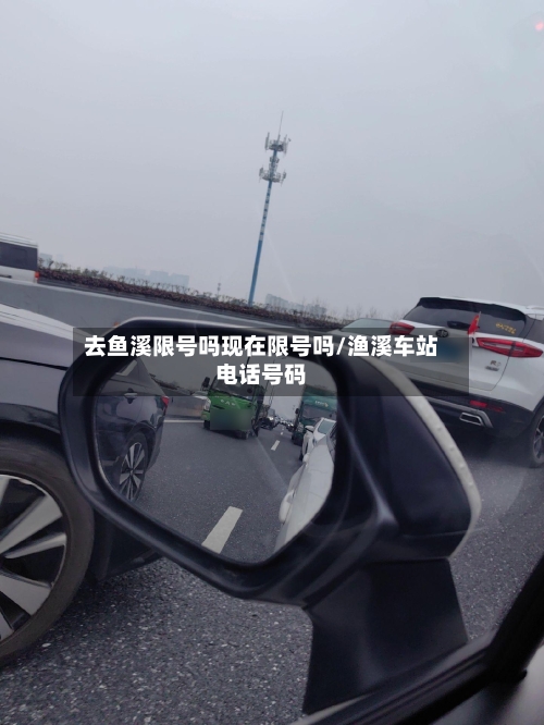 去鱼溪限号吗现在限号吗/渔溪车站电话号码