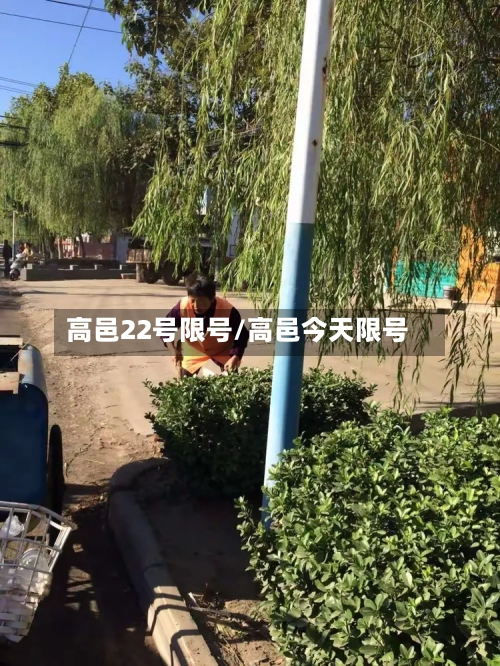 高邑22号限号/高邑今天限号