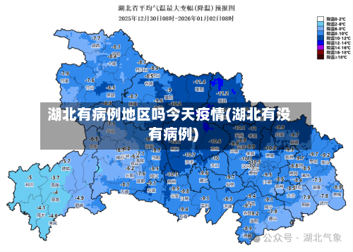 湖北有病例地区吗今天疫情(湖北有没有病例)
