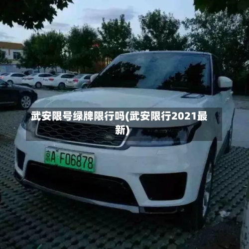 武安限号绿牌限行吗(武安限行2021最新)