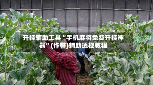 开挂辅助工具“手机麻将免费开挂神器”(作弊)辅助透视教程