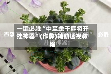 一键必胜“中至余干麻将开挂神器”(作弊)辅助透视教程