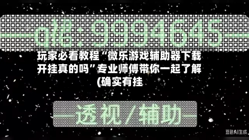 玩家必看教程“微乐游戏辅助器下载开挂真的吗”专业师傅带你一起了解(确实有挂