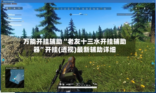 万能开挂辅助“老友十三水开挂辅助器”开挂(透视)最新辅助详细