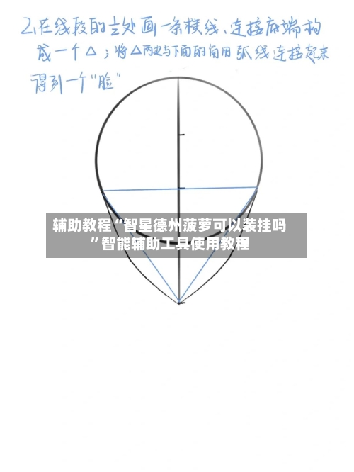 辅助教程“智星德州菠萝可以装挂吗”智能辅助工具使用教程