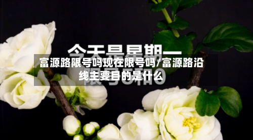 富源路限号吗现在限号吗/富源路沿线主要目的是什么