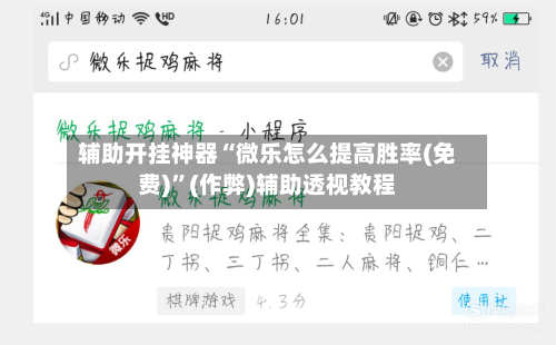 辅助开挂神器“微乐怎么提高胜率(免费)”(作弊)辅助透视教程