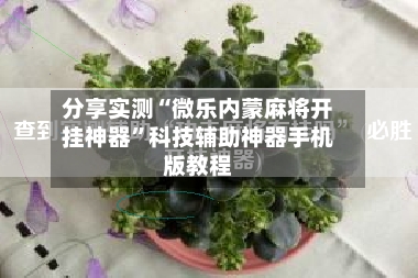 分享实测“微乐内蒙麻将开挂神器”科技辅助神器手机版教程