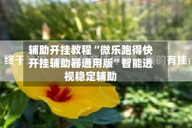 辅助开挂教程“微乐跑得快开挂辅助器通用版”智能透视稳定辅助