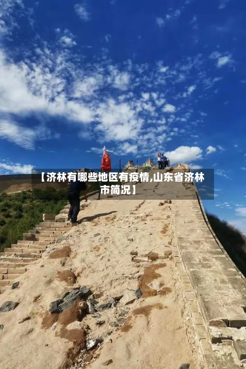 【济林有哪些地区有疫情,山东省济林市简况】