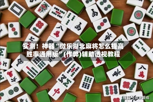 实测！神器“微乐湖北麻将怎么提高胜率通用版”(作弊)辅助透视教程