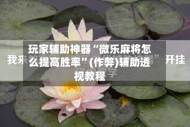 玩家辅助神器“微乐麻将怎么提高胜率”(作弊)辅助透视教程