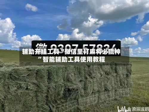 辅助开挂工具“微信里打麻将必赢神”智能辅助工具使用教程