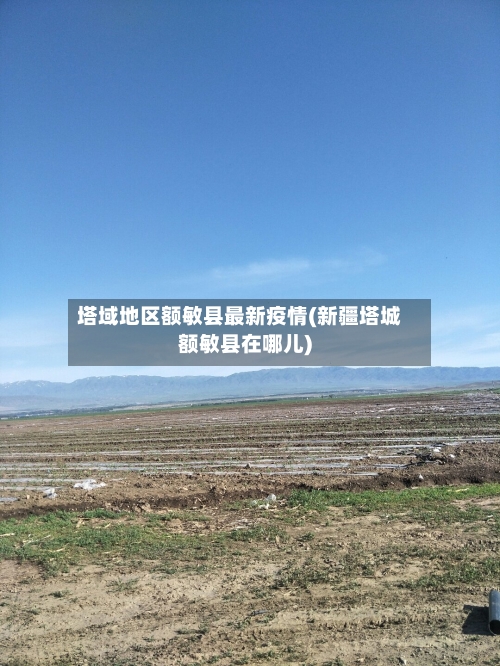 塔域地区额敏县最新疫情(新疆塔城额敏县在哪儿)