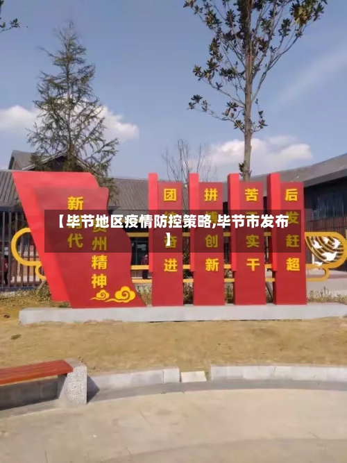 【毕节地区疫情防控策略,毕节市发布】
