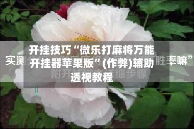开挂技巧“微乐打麻将万能开挂器苹果版”(作弊)辅助透视教程