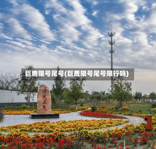 巨鹿限号尾号(巨鹿限号尾号限行吗)