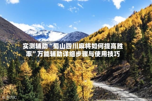 实测辅助“蜀山四川麻将如何提高胜率”万能辅助详细步骤与使用技巧