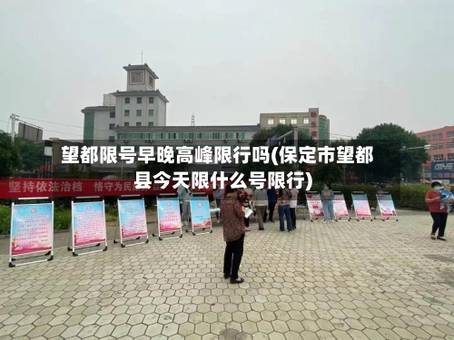 望都限号早晚高峰限行吗(保定市望都县今天限什么号限行)
