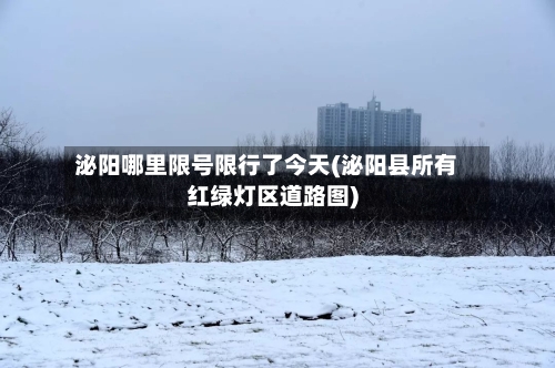 泌阳哪里限号限行了今天(泌阳县所有红绿灯区道路图)