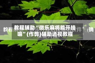 教程辅助“微乐麻将能开挂嘛”(作弊)辅助透视教程