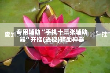 专用辅助“手机十三张辅助器”开挂(透视)辅助神器