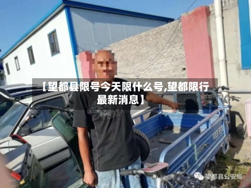【望都县限号今天限什么号,望都限行最新消息】