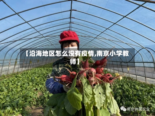 【沿海地区怎么没有疫情,南京小学教师】